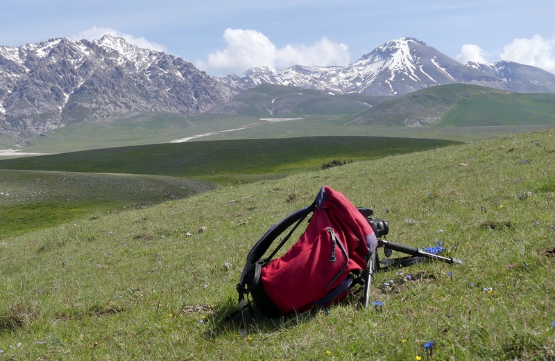 Orchidee a Campo Imperatore tra Medioevo e wilderness  primavera 2023